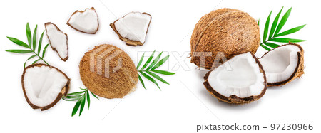 coconut with leaves isolated on white background. Top view. Flat lay coconut with leaves isolated on white background. Top view. Flat lay 97230966