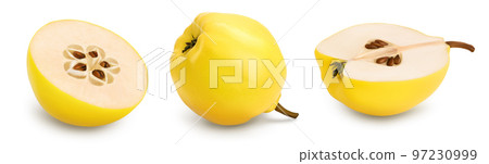 Fresh quince half isolated on the white background and full depth of field Fresh quince half isolated on the white background and full depth of field 97230999