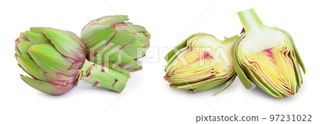 Fresh Artichokes isolated on white background closeup Fresh Artichokes isolated on white background closeup 97231022