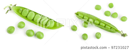 Fresh green pea pod isolated on white background Fresh green pea pod isolated on white background 97231027