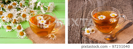 Herbal tea with fresh chamomile flowers on green wooden background Herbal tea with fresh chamomile flowers on green wooden background 97231040