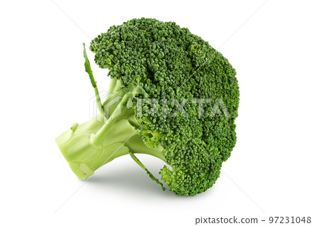 fresh broccoli isolated on white background close-up with full depth of field. fresh broccoli isolated on white background close-up with full depth of field. 97231048
