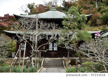 Kamakura Zuisenji Main Hall 97231616