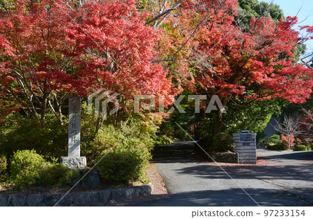 秋天的曼殊院 京都左京區秋葉 秋天的曼殊院 京都左京區秋葉 97233154