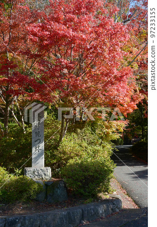 秋天的曼殊院 京都左京區秋葉 秋天的曼殊院 京都左京區秋葉 97233155