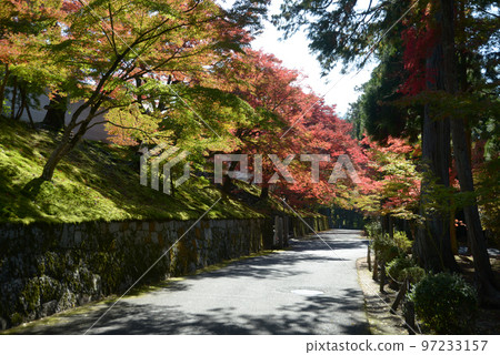 秋天的曼殊院 京都左京區秋葉 秋天的曼殊院 京都左京區秋葉 97233157
