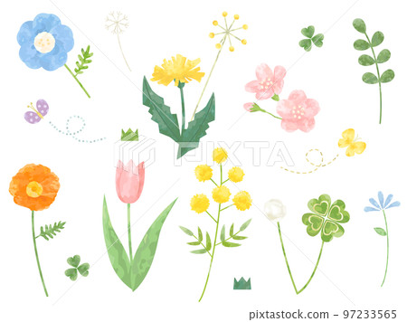 一組鬱金香、蒲公英、櫻花等春天的花朵插畫 一組鬱金香、蒲公英、櫻花等春天的花朵插畫 97233565