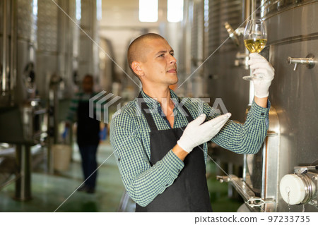 Professional vintner checking quality of wine at winery Professional vintner checking quality of wine at winery 97233735