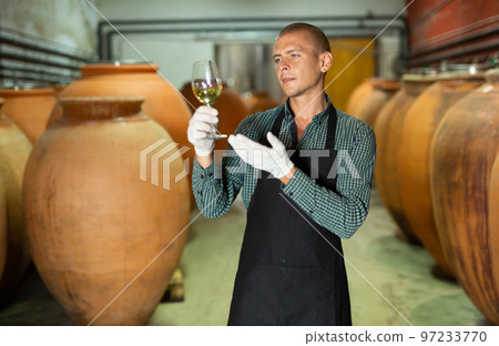 Wine producer inspecting quality of beverage in winery workshop Wine producer inspecting quality of beverage in winery workshop 97233770