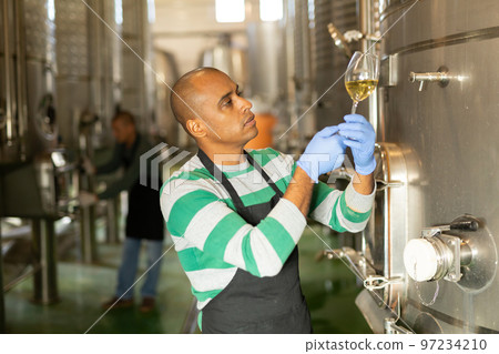 Hispanic vintner examining wine in winery workshop 97234210
