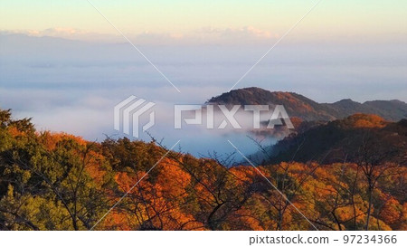 從栃木縣太平山看到的雲海和秋葉 從栃木縣太平山看到的雲海和秋葉 97234366