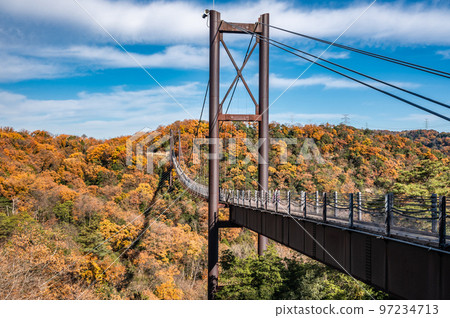 Hoshi no Swing Suspension Bridge Fumin no Mori Hoshida Enchi Katano City, Osaka Prefecture Hoshi no Swing Suspension Bridge Fumin no Mori Hoshida Enchi Katano City, Osaka Prefecture 97234713
