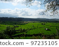 Bali's tranquil rice terraces Bali's tranquil rice terraces 97235105