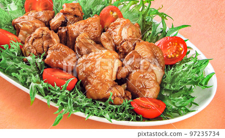 雞肉菜餚攝影形象 97235734