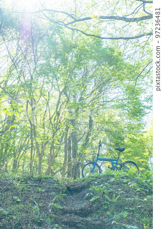 Fresh green/early summer cycling image (Oyama) 97236481