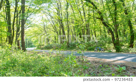 清新的綠色/初夏的騎行形象（小山） 97236483
