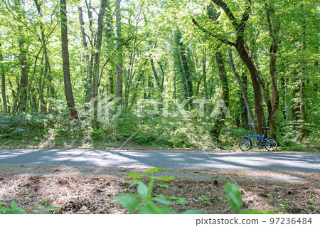 清新的綠色/初夏的騎行形象（小山） 97236484