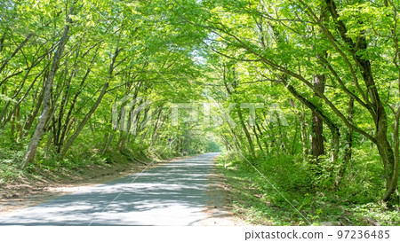 清新的綠色/初夏的騎行形象（小山） 97236485