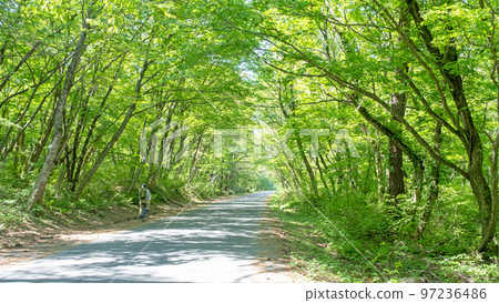 清新的綠色/初夏的騎行形象（小山） 97236486