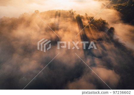 Sunrise in the forest,Orange light through morning fog in forest, high angle view Sunrise in the forest,Orange light through morning fog in forest, high angle view 97236602