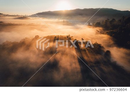Sunrise in the forest,Orange light through morning fog in forest, high angle view Sunrise in the forest,Orange light through morning fog in forest, high angle view 97236604
