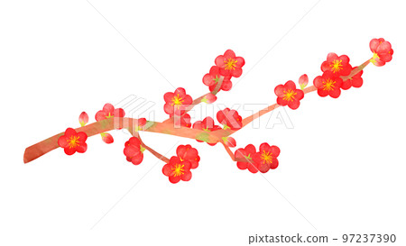 有樹枝的紅梅。水彩風格的插圖。 97237390