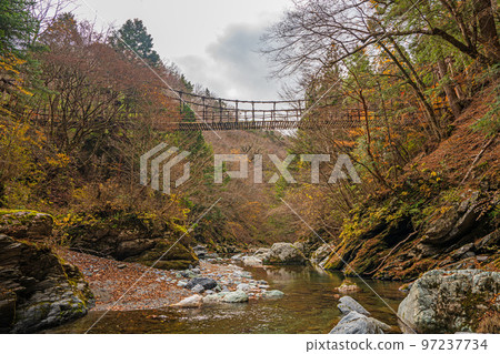[德島] Okuiya Double Kazurabashi Bridge [秋季] 97237734