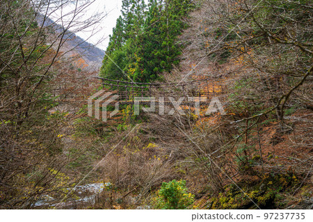 [德島] Okuiya Double Kazurabashi Bridge [秋季] 97237735