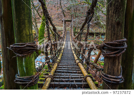 [德島] Okuiya Double Kazurabashi Bridge [秋季] 97237872