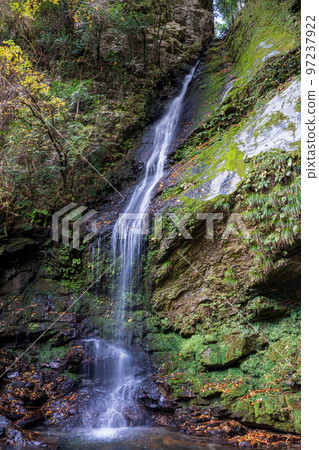 [Tokushima] Biwa Falls [Autumn] 97237922