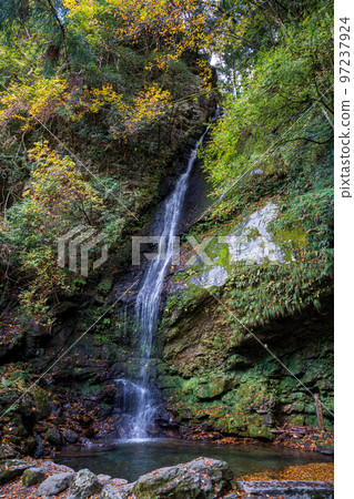 [Tokushima] Biwa Falls [Autumn] 97237924