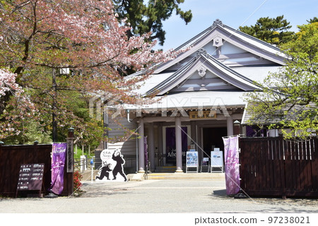 小田原城史館(NINJA Museum)和櫻花盛開的小田原城跡公園 小田原城史館(NINJA Museum)和櫻花盛開的小田原城跡公園 97238021