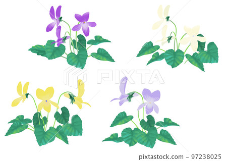 Heart-shaped leaf violet vector illustration watercolor style Heart-shaped leaf violet vector illustration watercolor style 97238025