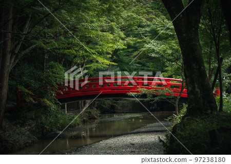 小國神社和紅橋 小國神社和紅橋 97238180