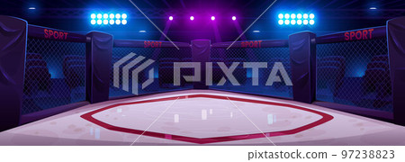 Ring octagon, arena for boxing fight and MMA 97238823