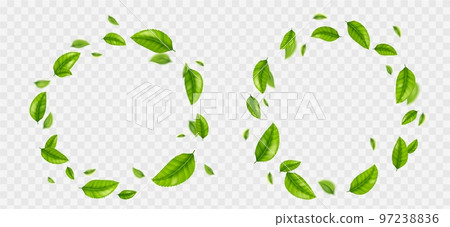 Set of round green leaves frame png 97238836