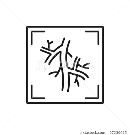 Computed tomography angiogram isolated CT test outline icon. Vector X-rays of blood vessels that go to heart, lung or brain, head or neck 97239015