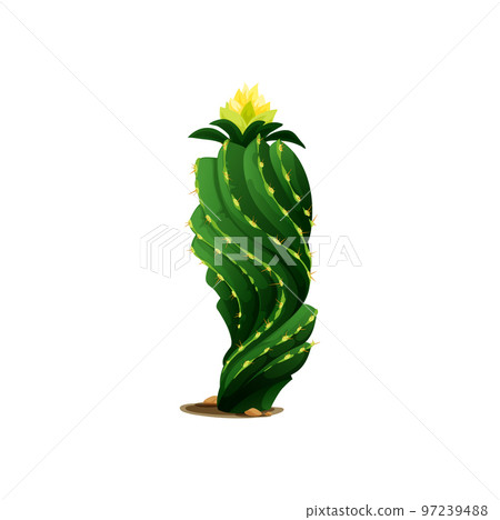 Green mexican desert cactus isolated Cinco de mayo holiday decoration, cartoon prickly succulent cactus plant. Vector scandinavian or indian cacti, western opuntia tropical cactus with yellow flower Green mexican desert cactus isolated Cinco de mayo holiday decoration, cartoon prickly succulent cactus plant. Vector scandinavian or indian cacti, western opuntia tropical cactus with yellow flower 97239488
