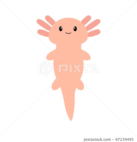 Cute cartoon axolotl. Vector illustration. Cute cartoon axolotl. Vector illustration. 97239495