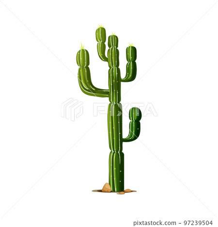 Elephant cactus, tropical succulent grown in desert isolated cartoon indians cacti with thorns. Vector prickly plant tall spiky tree, scandinavian or mexican cardon with spikes. Giant cacti plant Elephant cactus, tropical succulent grown in desert isolated cartoon indians cacti with thorns. Vector prickly plant tall spiky tree, scandinavian or mexican cardon with spikes. Giant cacti plant 97239504