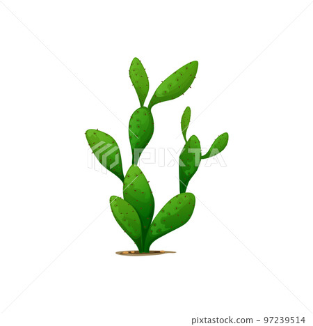 Cactus Mexican plant isolated opuntia cartoon pancake cacti, flapjack dollarjoint prickly cactus cartoon succulent plant. Vector exotic desert greenery decoration, botanical cacti flower with spikes Cactus Mexican plant isolated opuntia cartoon pancake cacti, flapjack dollarjoint prickly cactus cartoon succulent plant. Vector exotic desert greenery decoration, botanical cacti flower with spikes 97239514