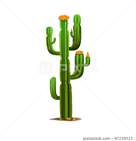 Plant Drawing Cactus Cartoon Cactaceae Hd Image Free - Cacto