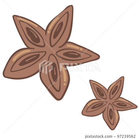 Anise aromatic spice for cooking and baking vector 97239562