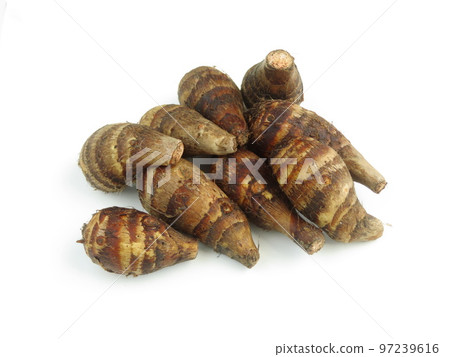 Shrimp potato Shrimp potato 97239616