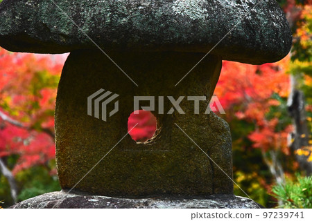 奈良奈良公園吉義園的秋葉 奈良奈良公園吉義園的秋葉 97239741