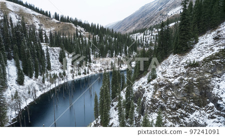 Coniferous tree trunks come out of a mountain lake 97241091