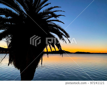 Silhouette of coconut trees with Lake Hamana and sunrise in the background Silhouette of coconut trees with Lake Hamana and sunrise in the background 97241121