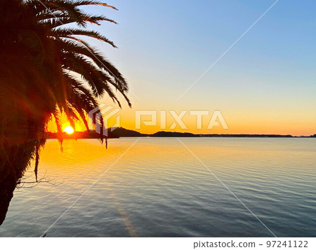 The sun rising through the cracks of the coconut palms and Lake Hamana The sun rising through the cracks of the coconut palms and Lake Hamana 97241122