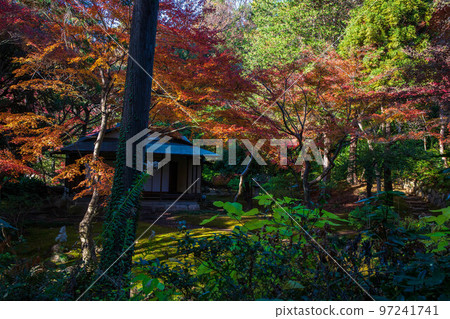 Autumn leaves in Tokyo, Kyu-Furukawa Garden, tea room 97241741