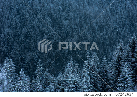 Winter landscape with snowy fir trees and forest. Christmas Winter landscape with snowy fir trees and forest. Christmas 97242634